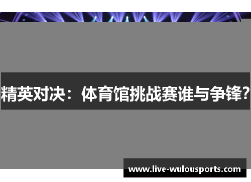 精英对决：体育馆挑战赛谁与争锋？